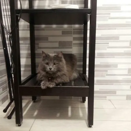 Erbagatta Гостевой дом 4*