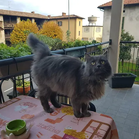 Erbagatta Penzion Erba