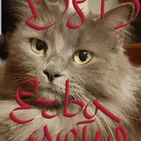 Erbagatta בית הארחה 4*