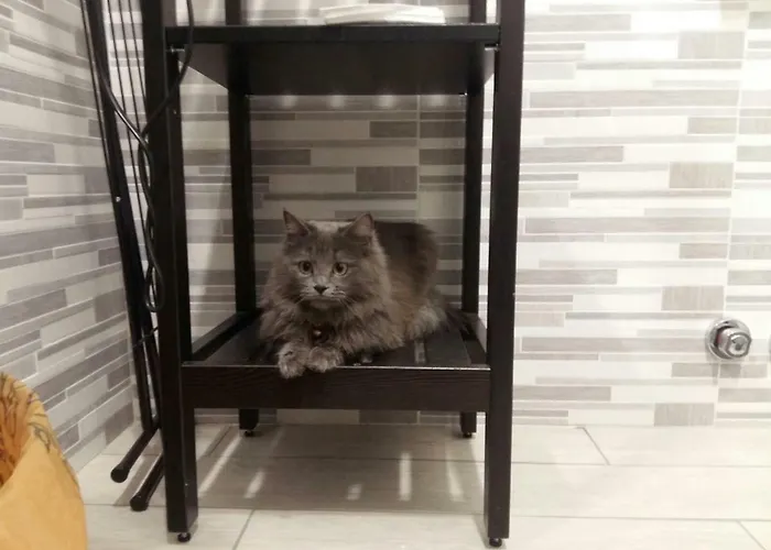 Erbagatta Penzion 4*