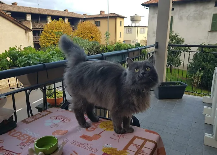 Erbagatta Maison d'hôtes Erba