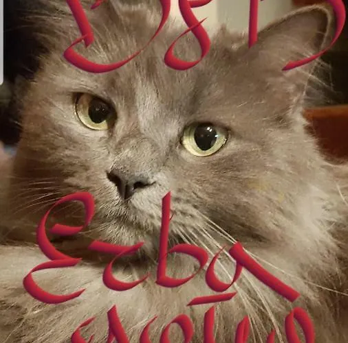 Erbagatta Maison d'hôtes 4*